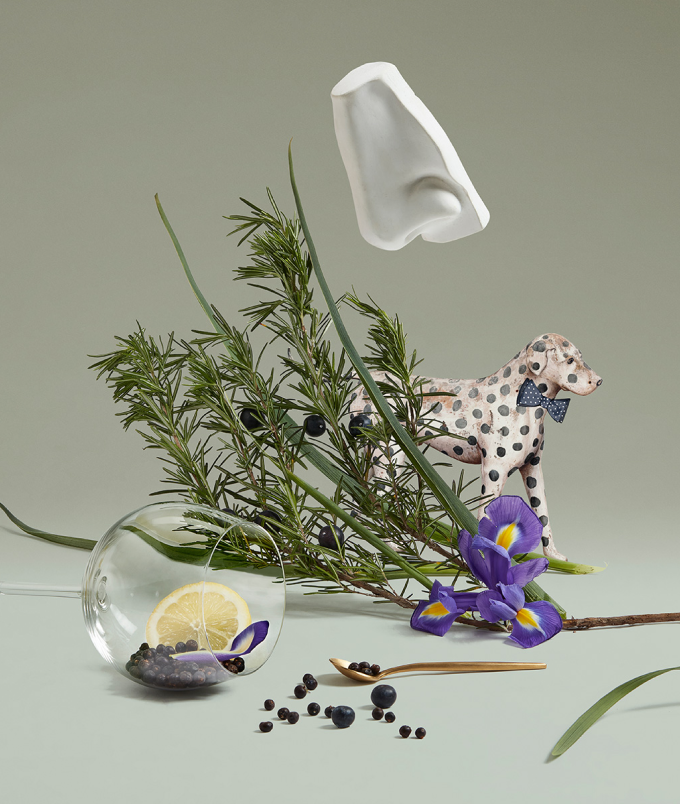 Juniper Sling scents